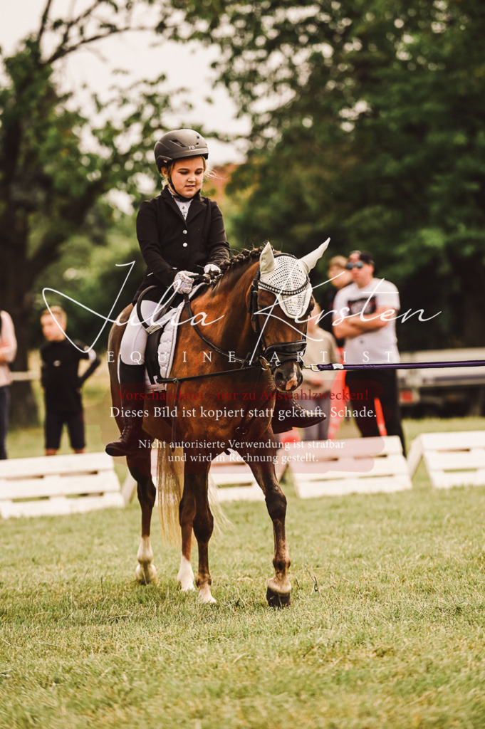 DSC_5224 | Pferde- und Turnierfotografie in Westsachsen. Pferdeportraits, Auftragszeichnungen und intuitive Kunst.