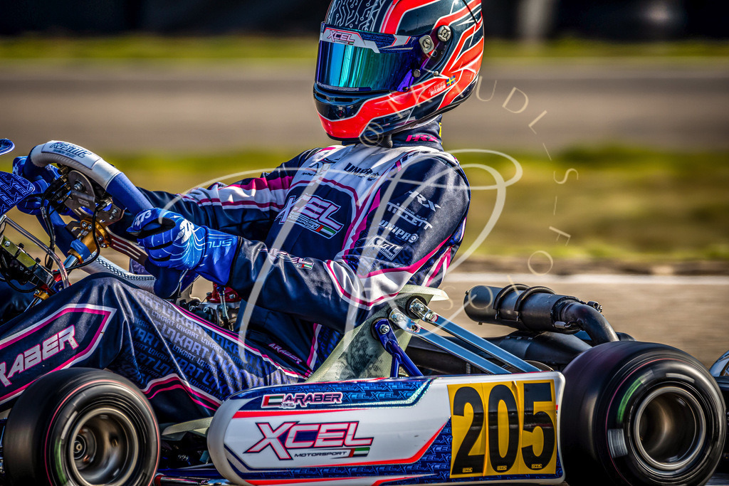 3088EDC7-5FB2-43A8-AABB-AB228859E2E6 | traudl_s_fotos