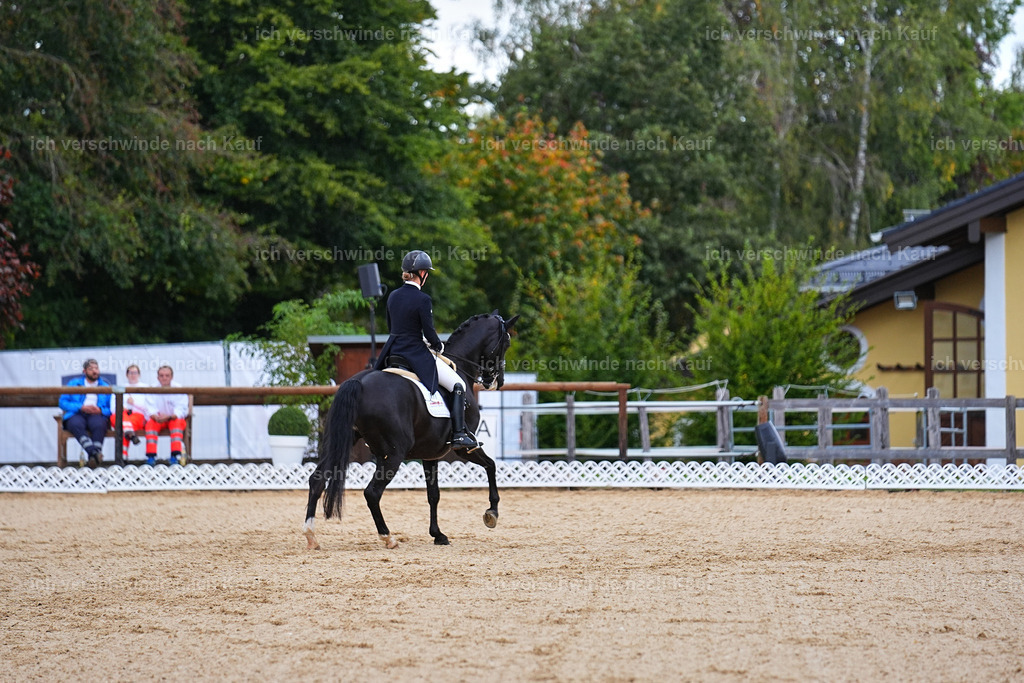 8_1-077-Klasse S_  -Marixx-4078 | working equitationturnier fotograf videograf stoibphotography marixx film working equitation deutschland reitsport turnierfotografie eventfotografie equestrian events