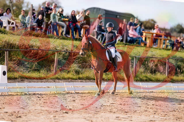 2026_10_03_Siefer-Hof_115946_Z81_00832224 | Professionelle Reitsport-, Turnier- und Eventfotografie von Robert Broda. Galerien mit ausgewählten und bearbeiteten Bildern direkt online ansehen und bestellen.