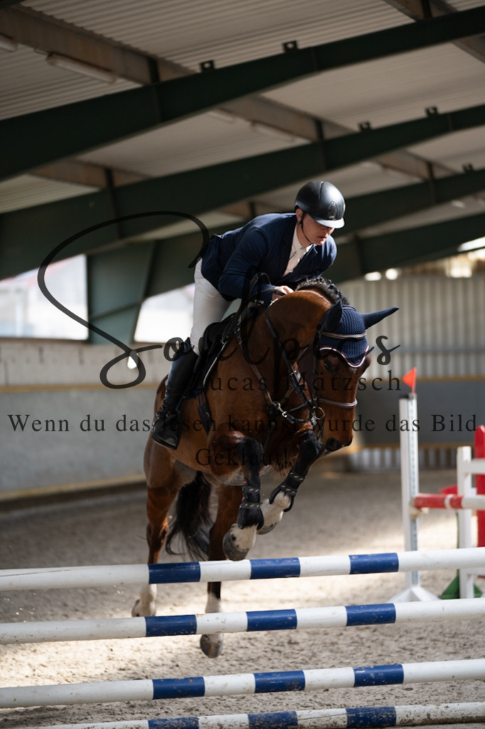 A7V08023 | Pferdefotograf