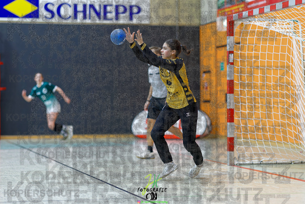 Frauen Regionalliga (HHV); HSG Kleenheim/Langgöns - HSG Baunatal | Frauen Regionalliga (HHV); HSG Kleenheim/Langgöns - HSG Baunatal am 23.11.2025 in Oberkleen (Weidig-Halle)Photo © 2025 - Jörg Heinrich - Realisiert mit Pictrs.com