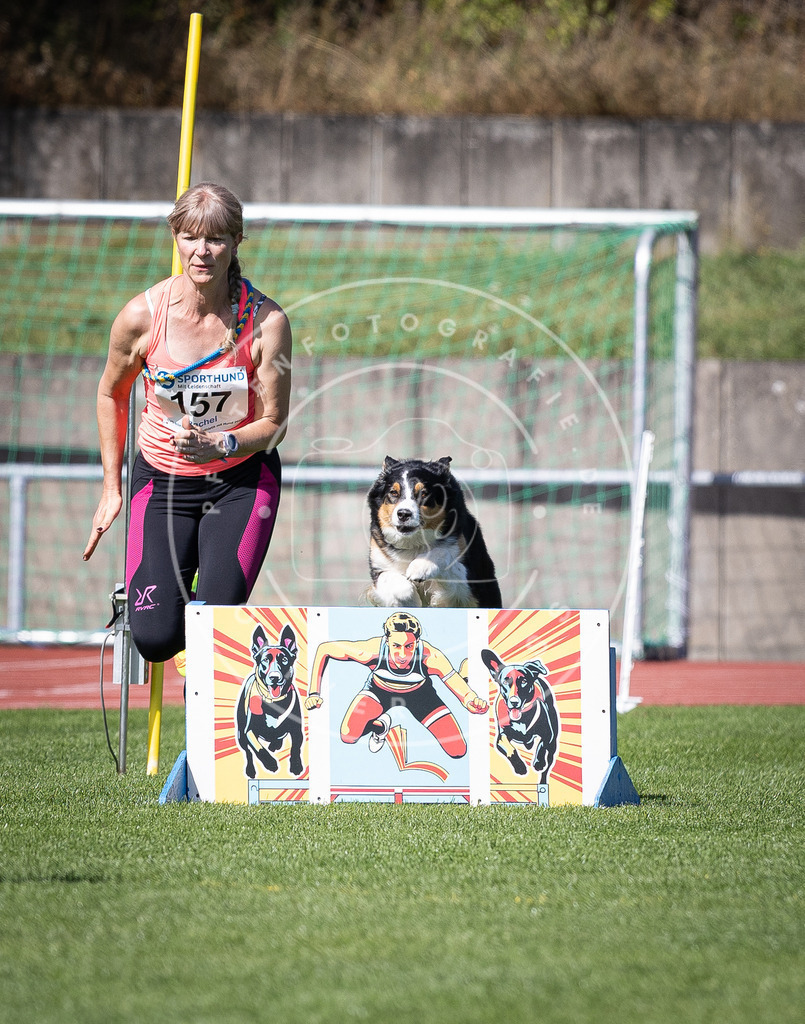 Pfotenfotografie_DV3A9532 | Hundefotografie, Tierfotograf, Pfotenfotografie, Fotoshooting Hund, Hunde Portrait, Hundesport, Hundeportraits, Heideshooting, Hunde, Sportfotograf, Hundefotograf, Turnierhundsport, THS,  - Realisiert mit Pictrs.com