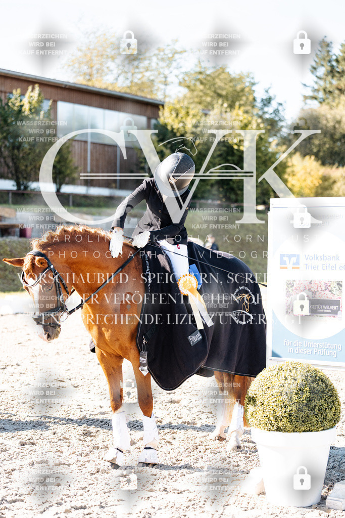 CK908476 | Turnierfotografie Pferdefotografie Trier Rheinland-Pfalz Pferdesport Reitsport Tierfotografie Sportfotografie Pferdevideo Pferdevideografie Equestrianvideography equestrianphotography  - Realisiert mit Pictrs.com