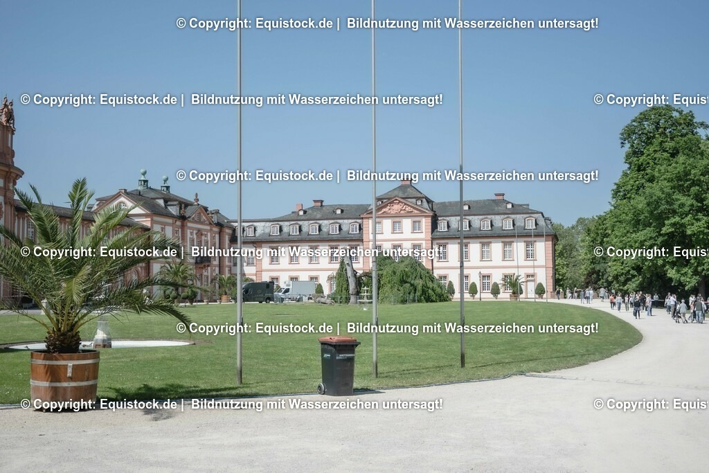 ZFC_3971 | equistock