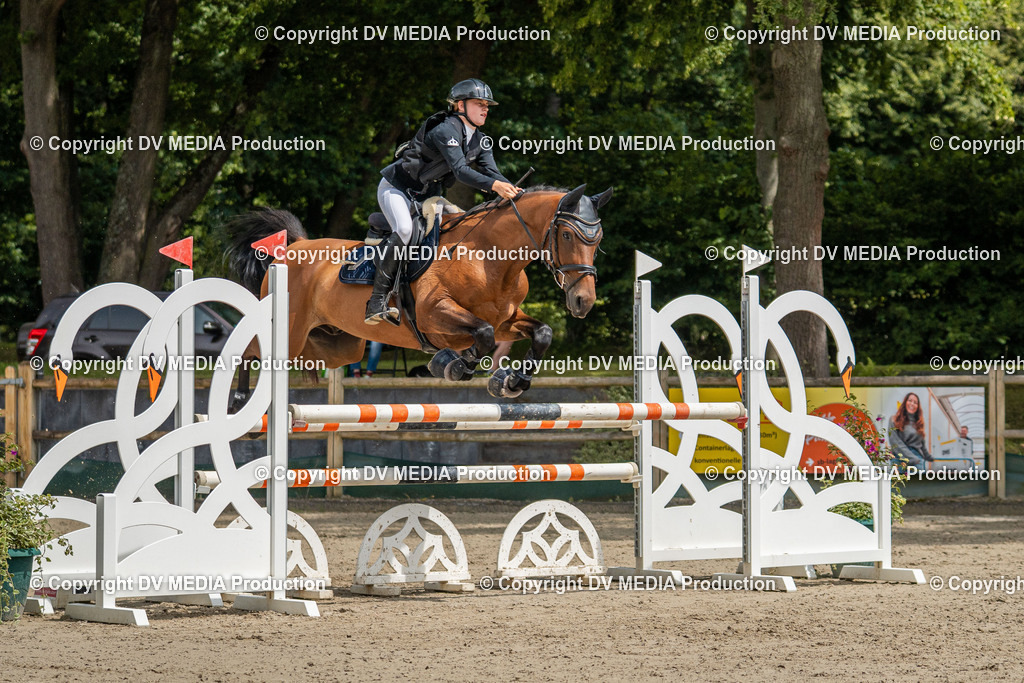 Hessische Tag 1-1356 | dv-media-shop - Realisiert mit Pictrs.com