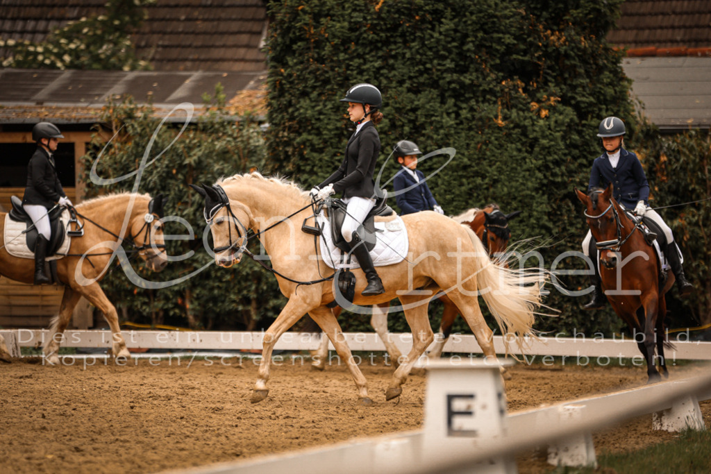 01.DoDrRWB00159 | Leoni Ertmer Photography - Realisiert mit Pictrs.com