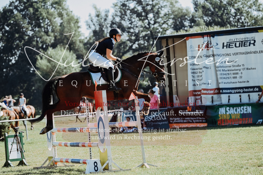 DSC_5720 | Pferde- und Turnierfotografie in Westsachsen. Pferdeportraits, Auftragszeichnungen und intuitive Kunst.