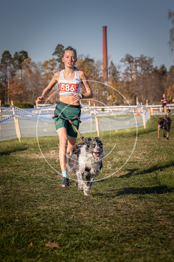 CaniXpix_0L8A8278 | Hundefotografie, Tierfotograf, Pfotenfotografie, Fotoshooting Hund, Hunde Portrait, Hundesport, Hundeportraits, Heideshooting, Hunde, Sportfotograf, Hundefotograf, Turnierhundsport, THS,  - Realisiert mit Pictrs.com