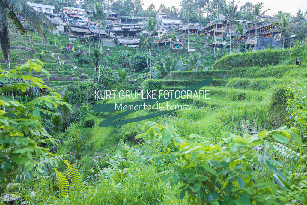 230720-1429 | onlinegalerie und Fotoshop Kurt Gruhlke Fotograf Berlin
Hochzeitsfotograf Eventfotograf Portraitfotografie
 - Realisiert mit Pictrs.com