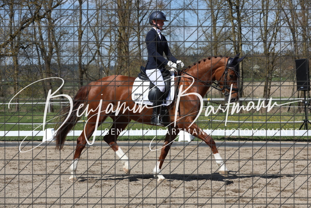 AZ2A5175 | Benjamin Bartmann Photomoments