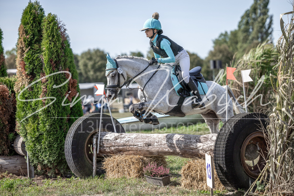 20250907-_3LI0105 | Tierfotografie Pferde, Hunde, Katzen, Haustiere.
Turnierfotografie Reitturniere, Reiten, Springreiten, Dressur in Hanau, dem Main-Kinzig-Kreis und dem Rhein-Main- Gebiet um Frankfurt