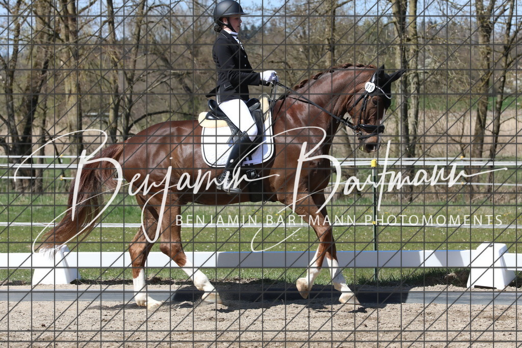 AZ2A4318 | Benjamin Bartmann Photomoments