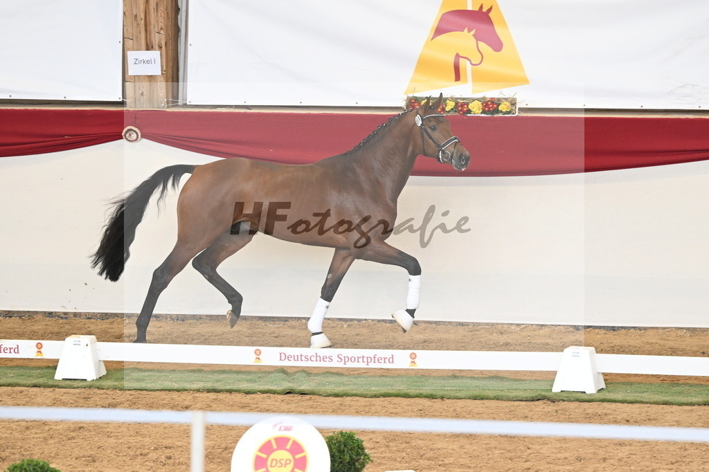 Kat.-Nr. 89 v. Zackerey_Ramsbrock_3261337 | hf-fotografie - Realisiert mit Pictrs.com