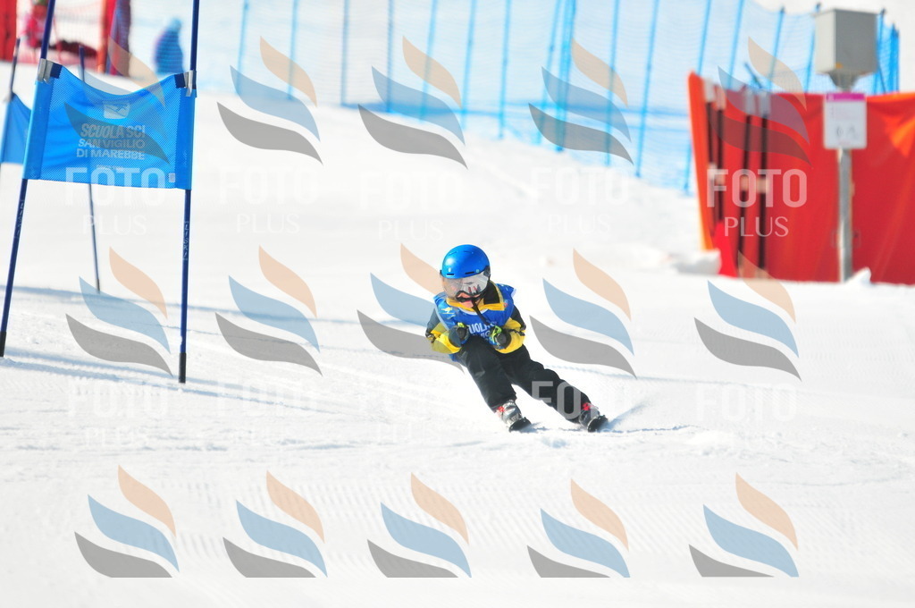 B9031 | holidayphoto