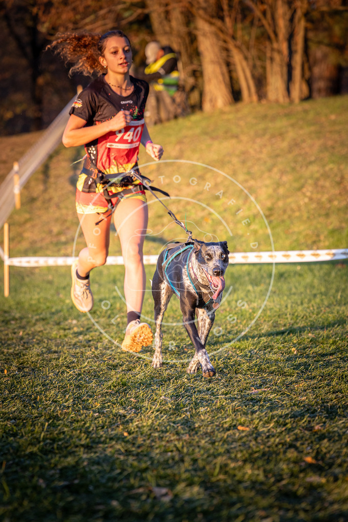 CaniXpix_0L8A1889 | Hundefotografie, Tierfotograf, Pfotenfotografie, Fotoshooting Hund, Hunde Portrait, Hundesport, Hundeportraits, Heideshooting, Hunde, Sportfotograf, Hundefotograf, Turnierhundsport, THS,  - Realisiert mit Pictrs.com