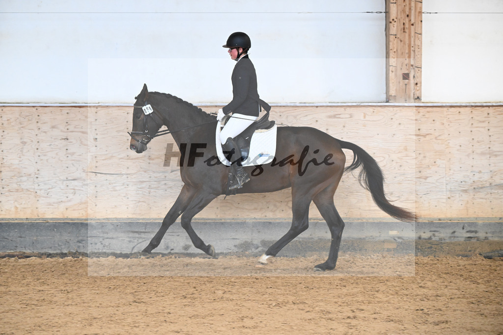 Kat-Nr. 6 Penelope v. Kros_Schwind_50250322 | hf-fotografie - Realisiert mit Pictrs.com