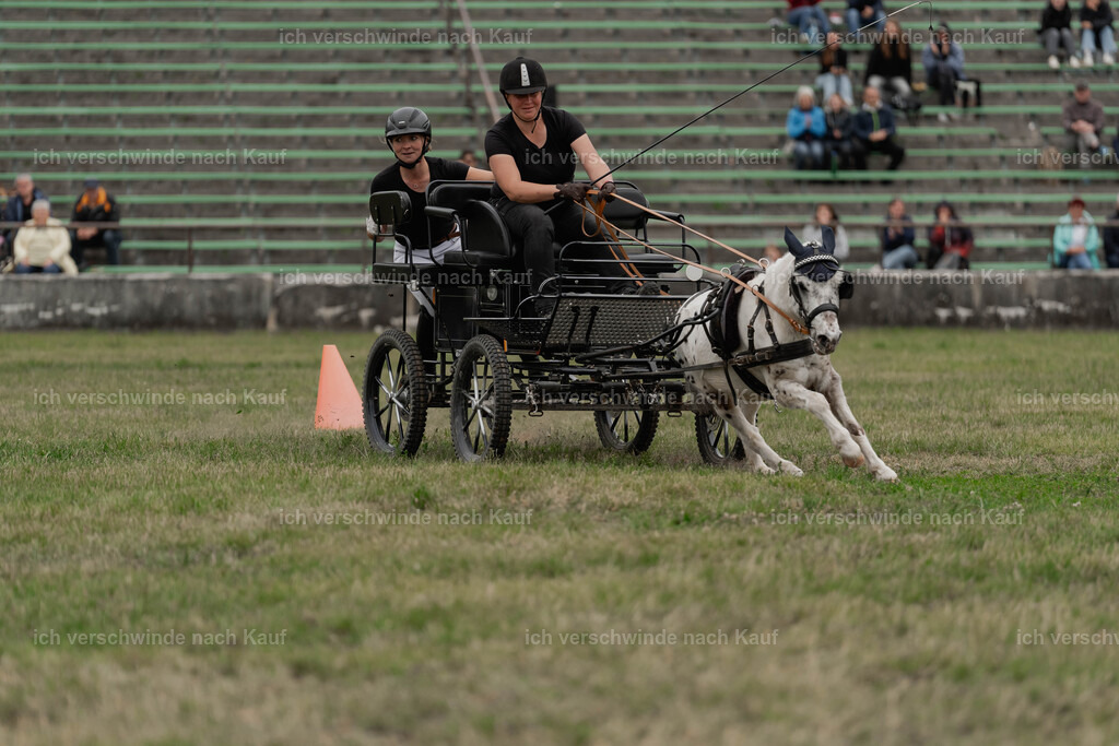 Showprogramm-507 | working equitationturnier fotograf videograf stoibphotography marixx film working equitation deutschland reitsport turnierfotografie eventfotografie equestrian events