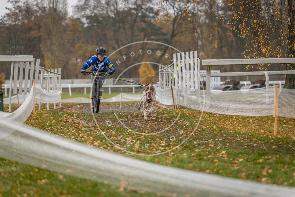 CaniXpix_DV3A7539 | Hundefotografie, Tierfotograf, Pfotenfotografie, Fotoshooting Hund, Hunde Portrait, Hundesport, Hundeportraits, Heideshooting, Hunde, Sportfotograf, Hundefotograf, Turnierhundsport, THS,  - Realisiert mit Pictrs.com