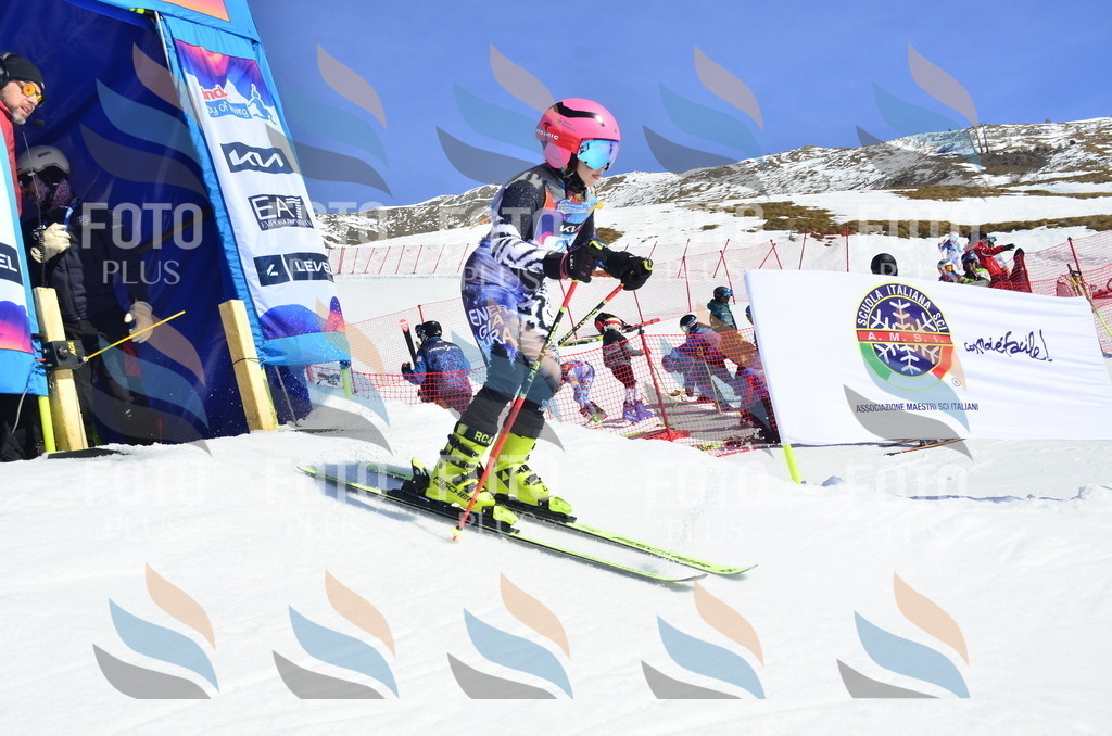 _ELE9955 | holidayphoto