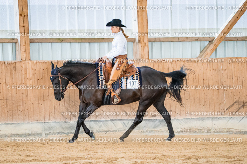 DSC09937 | Pferdegrafie