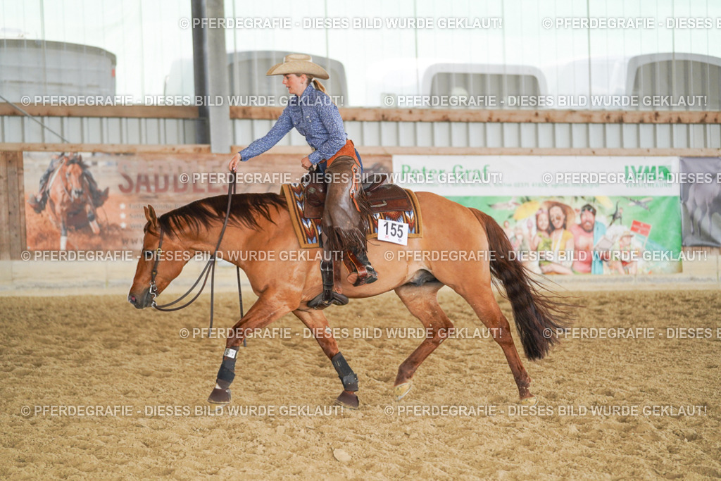 DSC01565 | Pferdegrafie