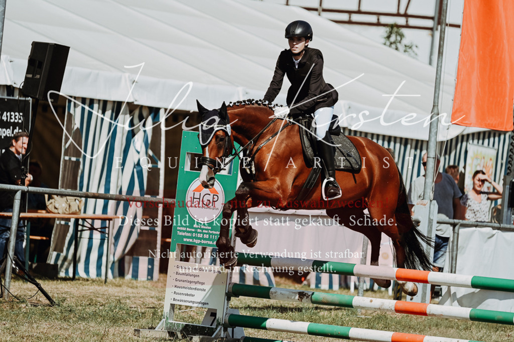 DSC_9779 | Pferde- und Turnierfotografie in Westsachsen. Pferdeportraits, Auftragszeichnungen und intuitive Kunst.