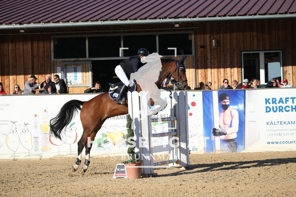 DL2Q4368 | Willkommen bei Brunnmayr - Design & Fotografie – Ihrem Spezialisten für Reitturniere und Pferdeveranstaltungen in Oberösterreich, Salzburg und Bayern! Seit über 17 Jahren sind wir leidenschaftlich dabei.