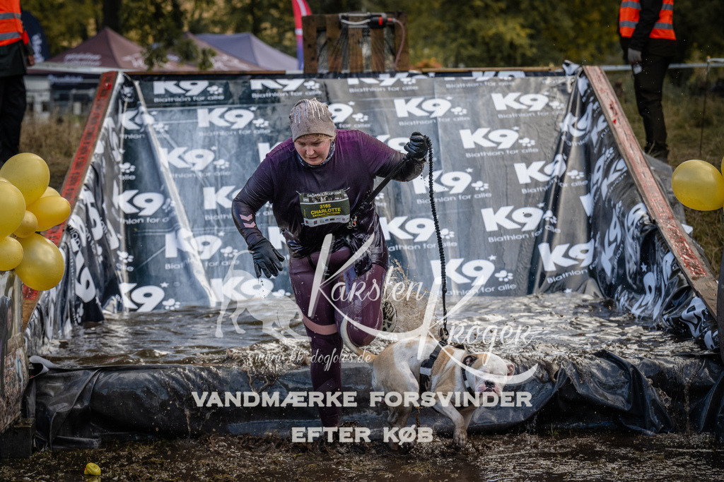 1528_ZZ94662 | kk-dogfotos