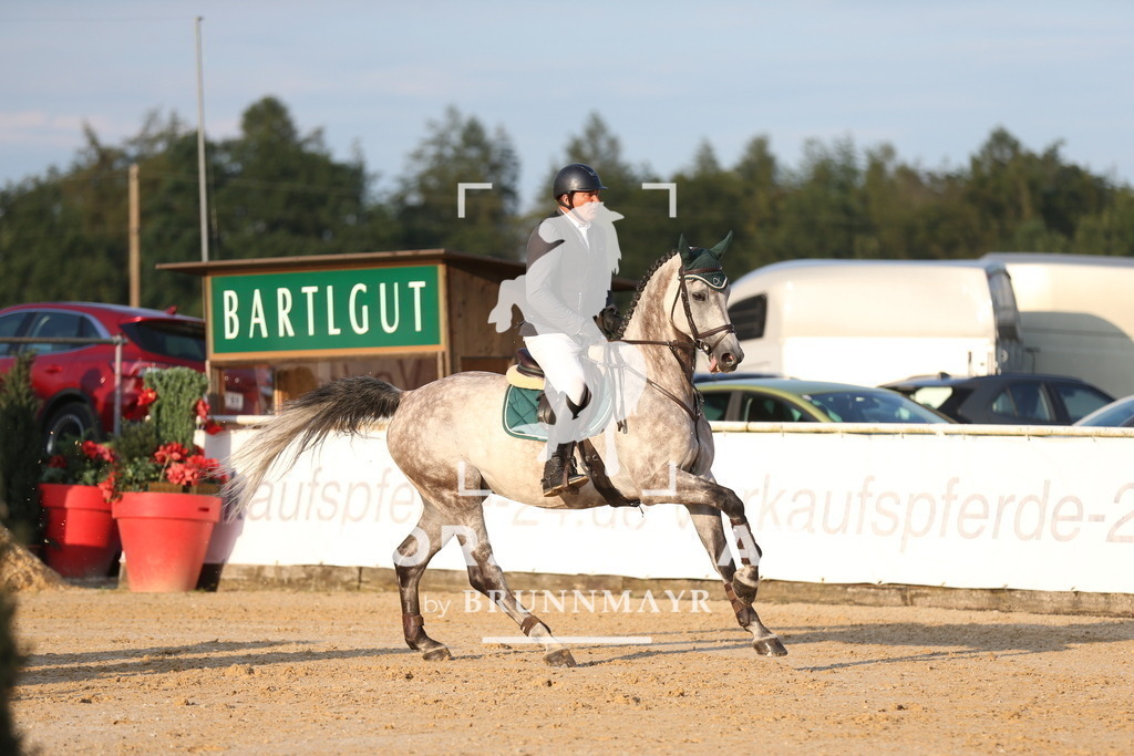 AS8V0179 | Willkommen bei Brunnmayr - Design & Fotografie – Ihrem Spezialisten für Reitturniere und Pferdeveranstaltungen in Oberösterreich, Salzburg und Bayern! Seit über 17 Jahren sind wir leidenschaftlich dabei.