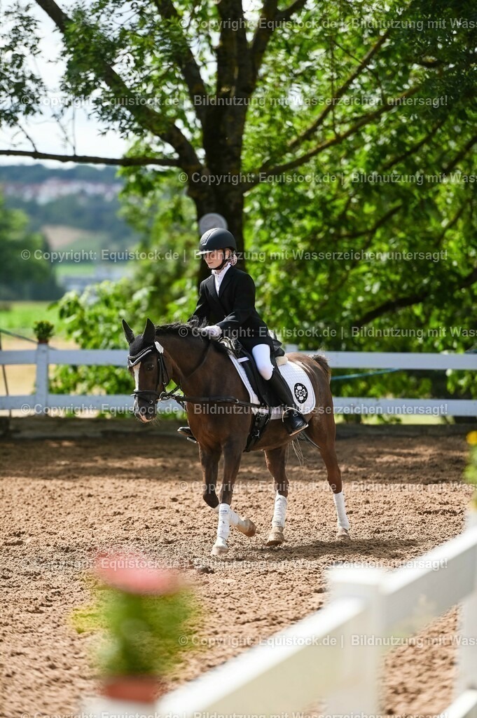 20230716_10-3_Reiter-WB Schritt - Trab - Galopp_0080 | equistock