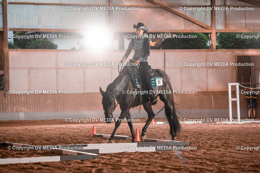 NE300027 | dv-media-shop - Realisiert mit Pictrs.com