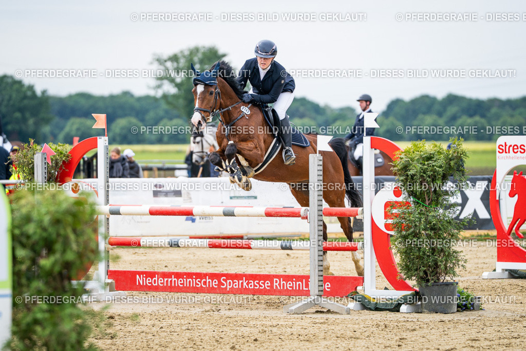 DSC05142 | Pferdegrafie