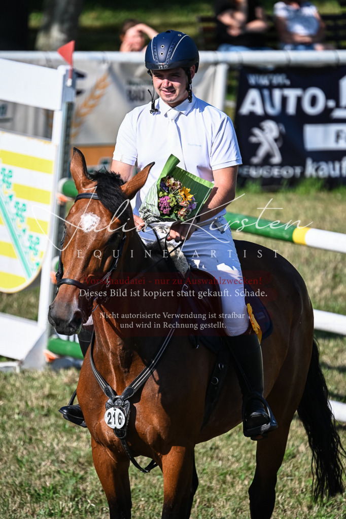 DSC_2620 | Pferde- und Turnierfotografie in Westsachsen. Pferdeportraits, Auftragszeichnungen und intuitive Kunst.