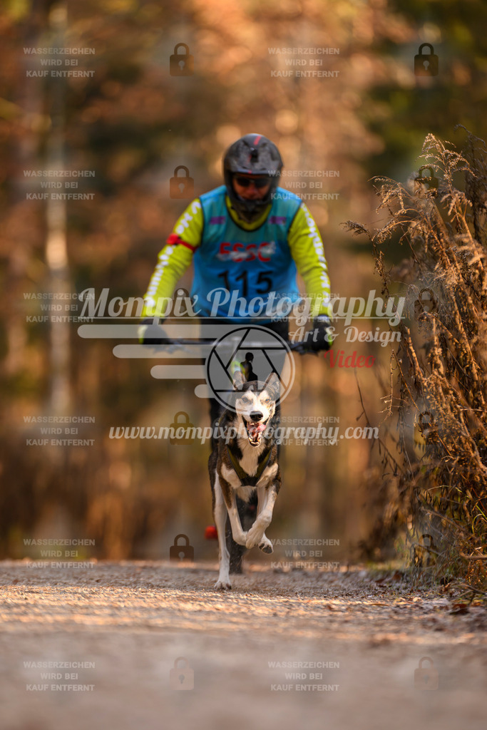 MompixPhotography_DM_AKDM_SO_2025_Scooter-183 | PayLife