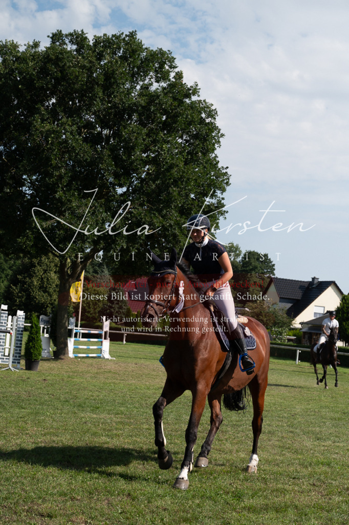 DSC_1040 | Pferde- und Turnierfotografie in Westsachsen. Pferdeportraits, Auftragszeichnungen und intuitive Kunst.