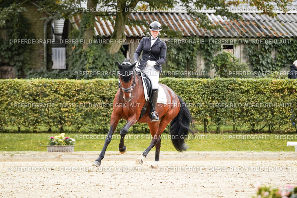 DSC07473 | Pferdegrafie