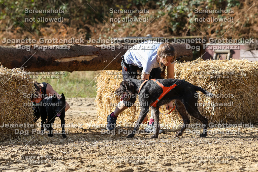 Dog Paparazzi - Strongdog 10-25-5508 | Dog Paparazzi Jeanette Grottendiek Fotografie & Videografie - Realisiert mit Pictrs.com