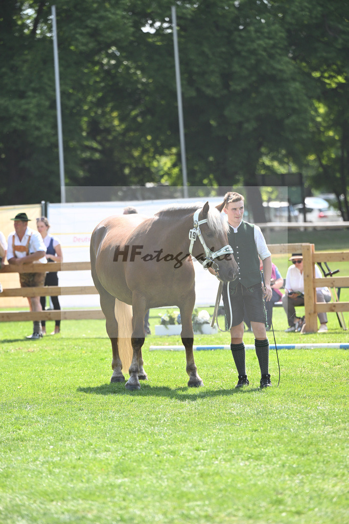 Kat-Nr. 19 Madrid_Bachmair_20230329 | hf-fotografie - Realisiert mit Pictrs.com