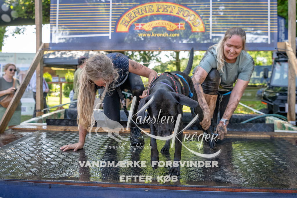 1411_ZZ93561 | kk-dogfotos