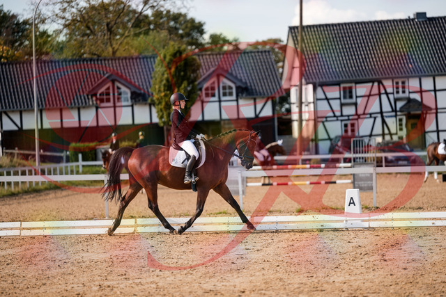 2026_10_03_Siefer-Hof_130951_Z63_71759431 | Professionelle Reitsport-, Turnier- und Eventfotografie von Robert Broda. Galerien mit ausgewählten und bearbeiteten Bildern direkt online ansehen und bestellen.