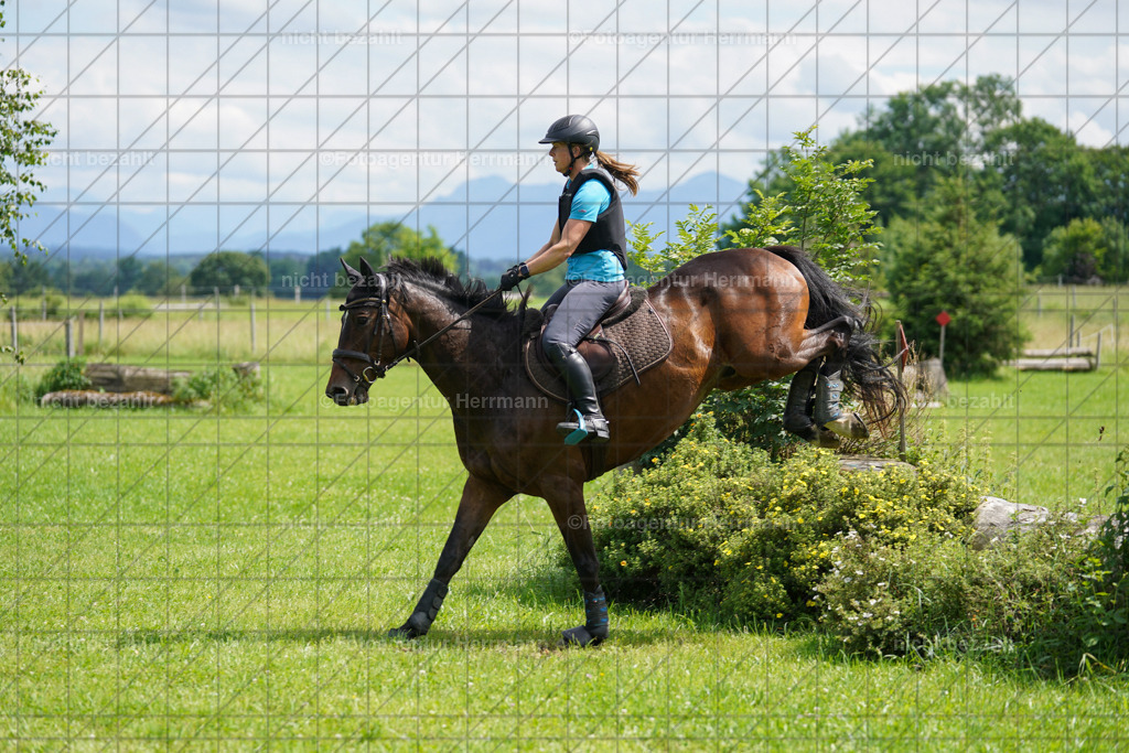 20240622-FAH07618 | Turnierfotografen Bayern, Reitsportbilder aus dem Geländekurs mit Felix Etzel auf dem Gut Waitzacker 2024