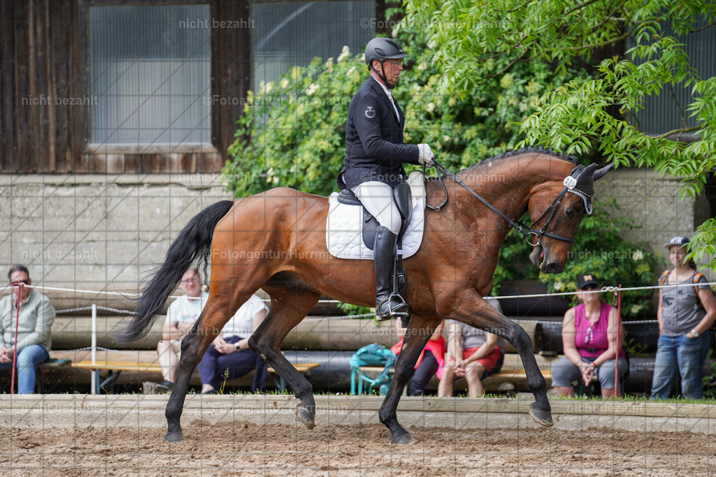 20240519-FAH05234 | Turnierbilder Niederseeon 2024, Vielseitigkeitsdressur, Reitsportbilder aus dem Landkreit Ebersberg, Gut Steinsee, RC Steinsee, Fotoagentur Herrmann