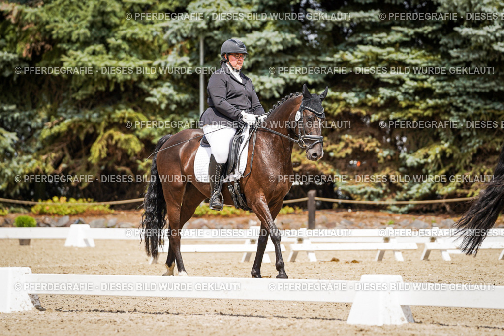 DSC02671 | Pferdegrafie