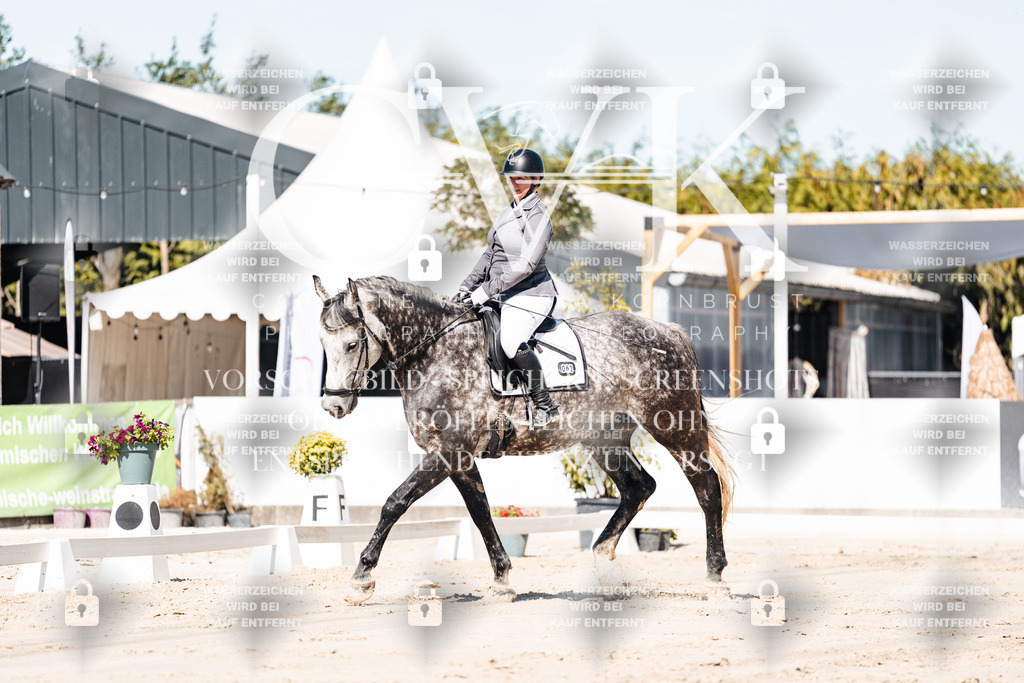 CK909028 | Turnierfotografie Pferdefotografie Trier Rheinland-Pfalz Pferdesport Reitsport Tierfotografie Sportfotografie Pferdevideo Pferdevideografie Equestrianvideography equestrianphotography  - Realisiert mit Pictrs.com