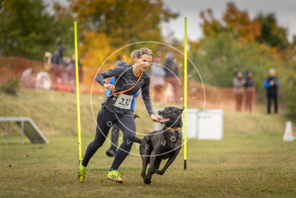 Pfotenfotografie_DV3A4252 | Hundefotografie, Tierfotograf, Pfotenfotografie, Fotoshooting Hund, Hunde Portrait, Hundesport, Hundeportraits, Heideshooting, Hunde, Sportfotograf, Hundefotograf, Turnierhundsport, THS,  - Realisiert mit Pictrs.com