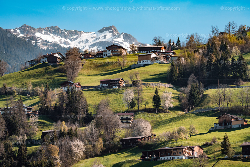 Stumm im Frühling copyright  Thomas Pfister-6 | PHOTOGRAPHY BY THOMAS PFISTER