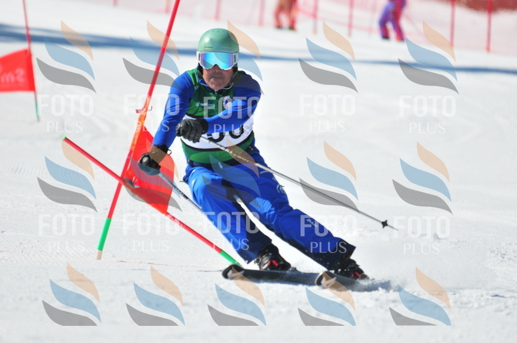 C4373 | holidayphoto