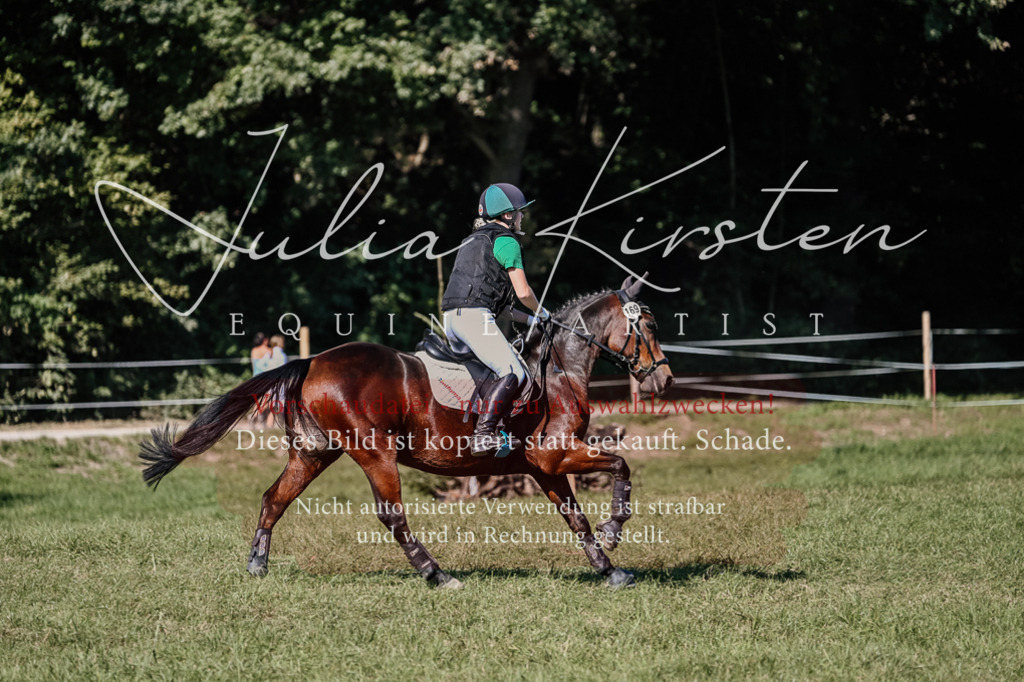 DSC_3611 | Pferde- und Turnierfotografie in Westsachsen. Pferdeportraits, Auftragszeichnungen und intuitive Kunst.