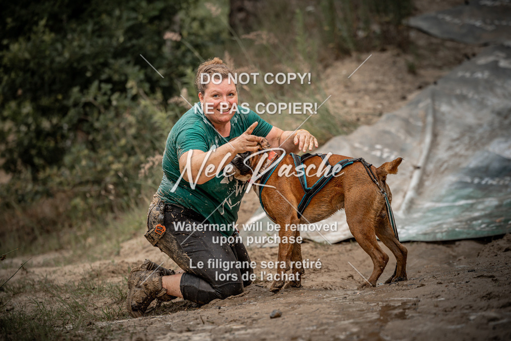 nelerasche_sa1100-1200_321 | nelerasche